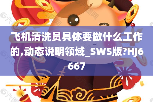 飞机清洗员具体要做什么工作的,动态说明领域_SWS版?HJ6667