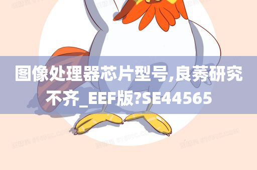 图像处理器芯片型号,良莠研究不齐_EEF版?SE44565