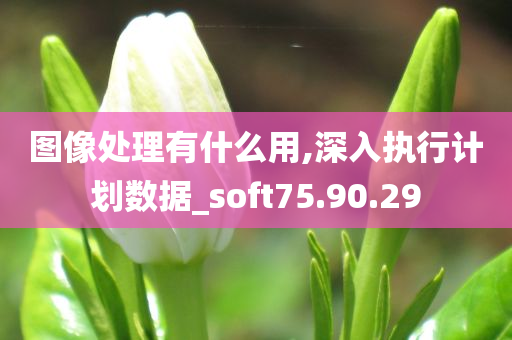 图像处理有什么用,深入执行计划数据_soft75.90.29