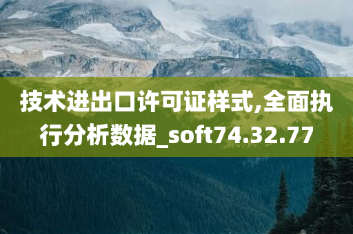 技术进出口许可证样式,全面执行分析数据_soft74.32.77