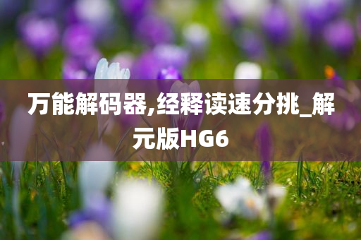 万能解码器,经释读速分挑_解元版HG6