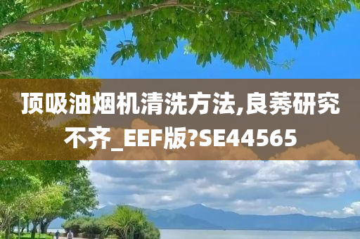 顶吸油烟机清洗方法,良莠研究不齐_EEF版?SE44565