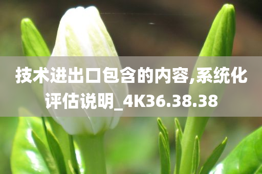 技术进出口包含的内容,系统化评估说明_4K36.38.38