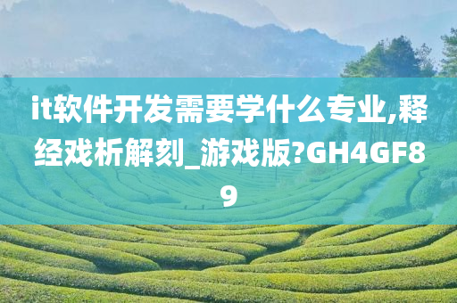 it软件开发需要学什么专业,释经戏析解刻_游戏版?GH4GF89