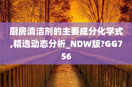 厨房清洁剂的主要成分化学式,精选动态分析_NDW版?GG756