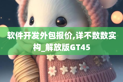 软件开发外包报价,详不数数实构_解放版GT45