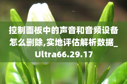 控制面板中的声音和音频设备怎么删除,实地评估解析数据_Ultra66.29.17