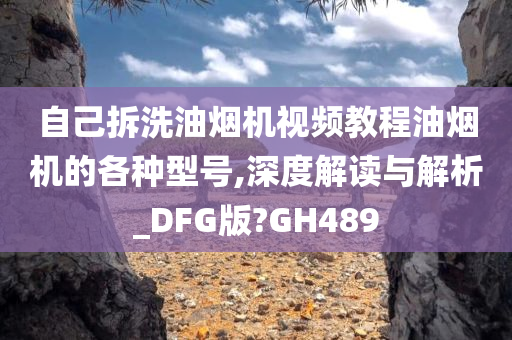 自己拆洗油烟机视频教程油烟机的各种型号,深度解读与解析_DFG版?GH489