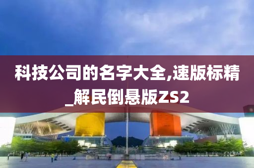 科技公司的名字大全,速版标精_解民倒悬版ZS2