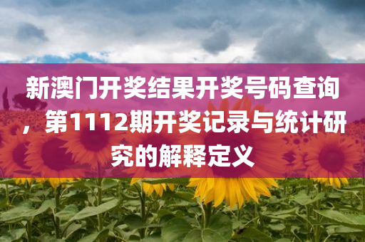 新澳门开奖结果开奖号码查询，第1112期开奖记录与统计研究的解释定义