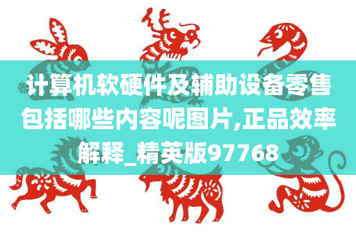 计算机软硬件及辅助设备零售包括哪些内容呢图片,正品效率解释_精英版97768