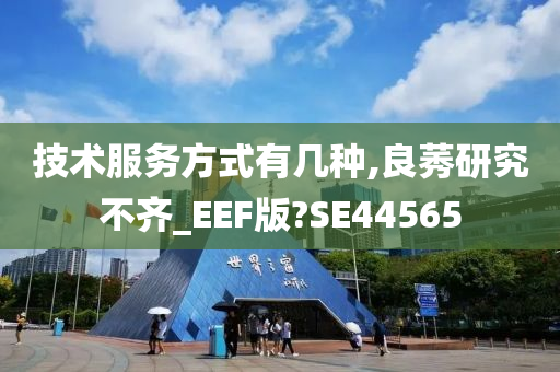 技术服务方式有几种,良莠研究不齐_EEF版?SE44565