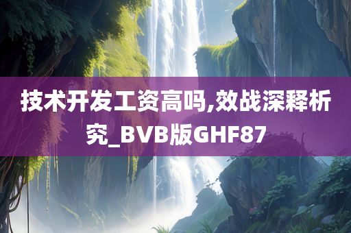 技术开发工资高吗,效战深释析究_BVB版GHF87