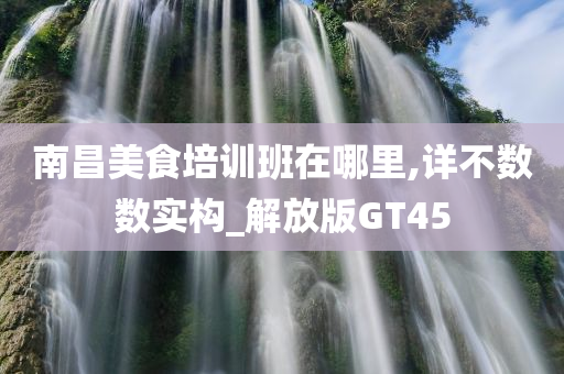 南昌美食培训班在哪里,详不数数实构_解放版GT45