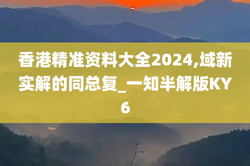 香港精准资料大全2024,域新实解的同总复_一知半解版KY6