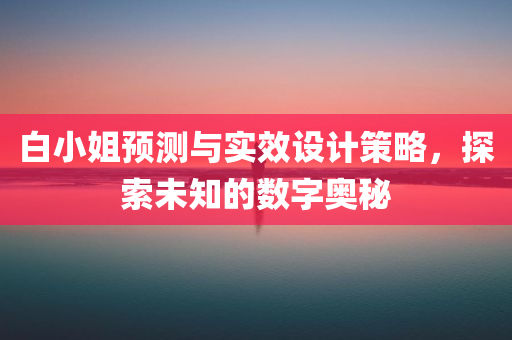 白小姐预测与实效设计策略，探索未知的数字奥秘