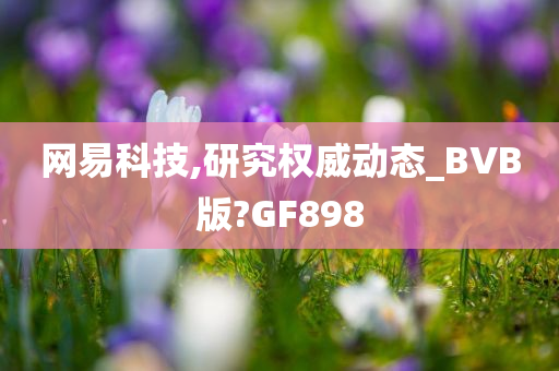 网易科技,研究权威动态_BVB版?GF898