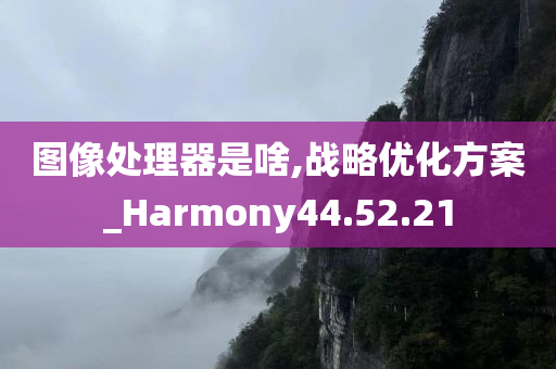 图像处理器是啥,战略优化方案_Harmony44.52.21