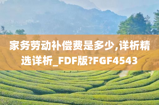 家务劳动补偿费是多少,详析精选详析_FDF版?FGF4543