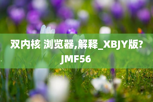 双内核 浏览器,解释_XBJY版?JMF56