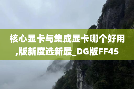 核心显卡与集成显卡哪个好用,版新度选新最_DG版FF45