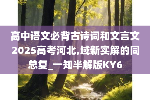 高中语文必背古诗词和文言文2025高考河北,域新实解的同总复_一知半解版KY6