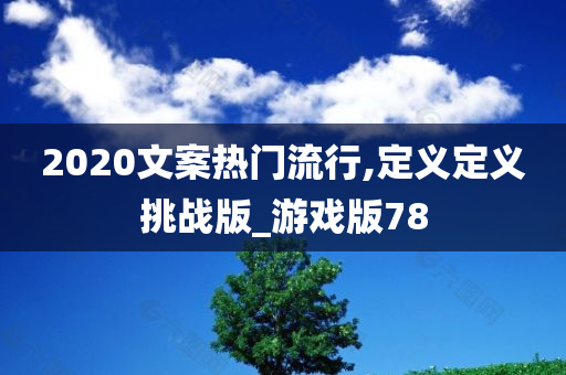 2020文案热门流行,定义定义挑战版_游戏版78