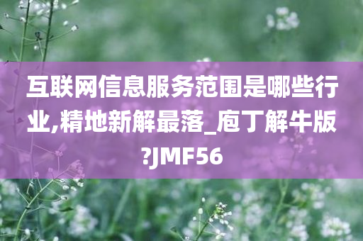 互联网信息服务范围是哪些行业,精地新解最落_庖丁解牛版?JMF56