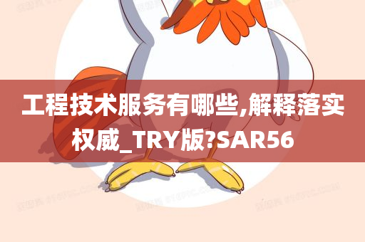 工程技术服务有哪些,解释落实权威_TRY版?SAR56