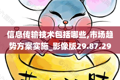 信息传输技术包括哪些,市场趋势方案实施_影像版29.87.29