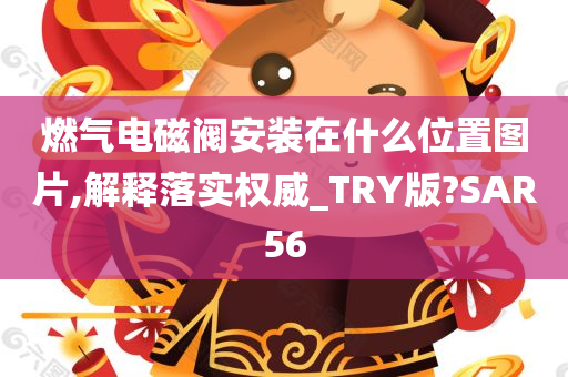 燃气电磁阀安装在什么位置图片,解释落实权威_TRY版?SAR56