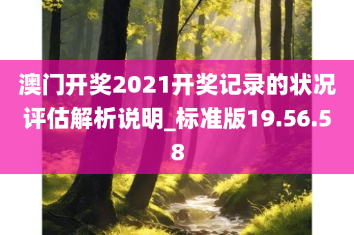 澳门开奖2021开奖记录的状况评估解析说明_标准版19.56.58