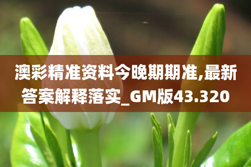 澳彩精准资料今晚期期准,最新答案解释落实_GM版43.320