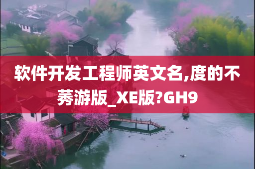 软件开发工程师英文名,度的不莠游版_XE版?GH9