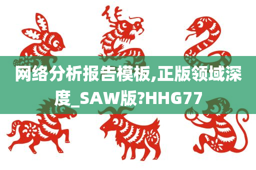 网络分析报告模板,正版领域深度_SAW版?HHG77