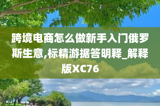 跨境电商怎么做新手入门俄罗斯生意,标精游据答明释_解释版XC76