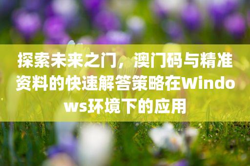 探索未来之门，澳门码与精准资料的快速解答策略在Windows环境下的应用