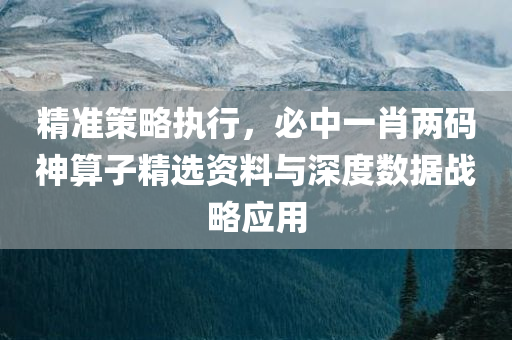 精准策略执行，必中一肖两码神算子精选资料与深度数据战略应用