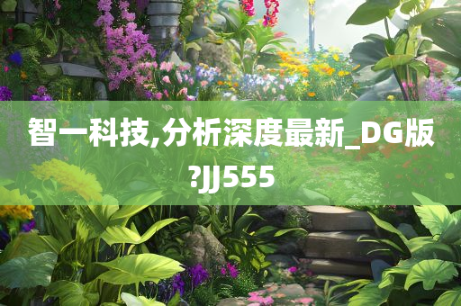 智一科技,分析深度最新_DG版?JJ555