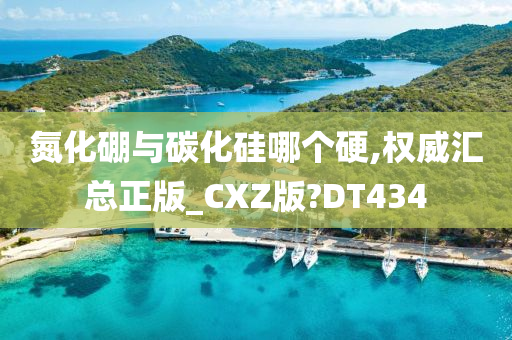 氮化硼与碳化硅哪个硬,权威汇总正版_CXZ版?DT434