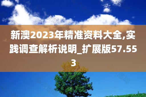 新澳2023年精准资料大全,实践调查解析说明_扩展版57.553