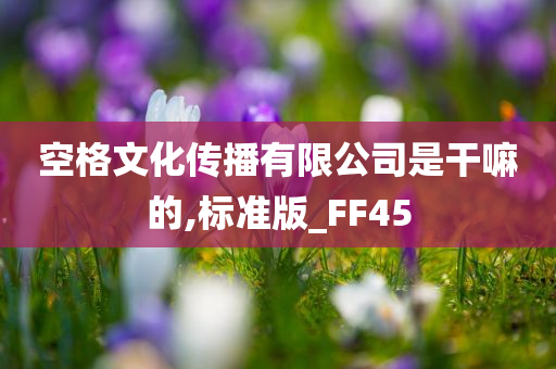 空格文化传播有限公司是干嘛的,标准版_FF45