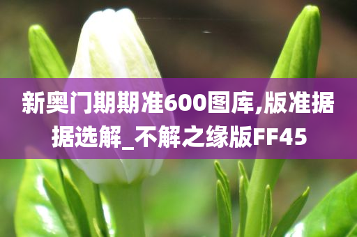 新奥门期期准600图库,版准据据选解_不解之缘版FF45