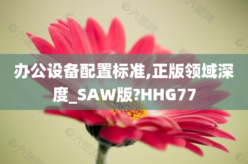 办公设备配置标准,正版领域深度_SAW版?HHG77