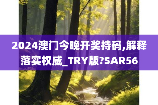 2024澳门今晚开奖持码,解释落实权威_TRY版?SAR56