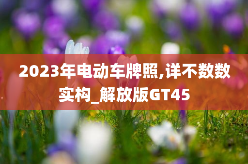 2023年电动车牌照,详不数数实构_解放版GT45