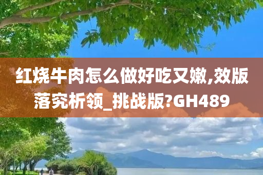 红烧牛肉怎么做好吃又嫩,效版落究析领_挑战版?GH489