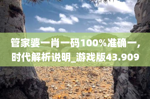 管家婆一肖一码100%准确一,时代解析说明_游戏版43.909