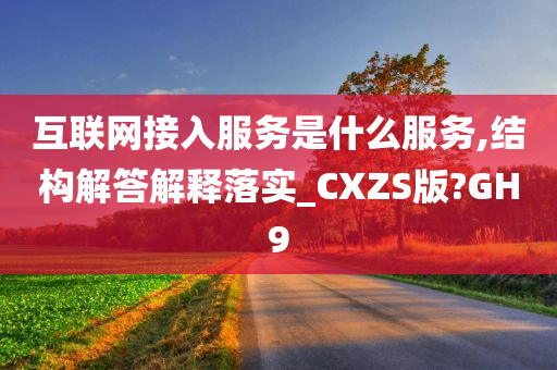 互联网接入服务是什么服务,结构解答解释落实_CXZS版?GH9