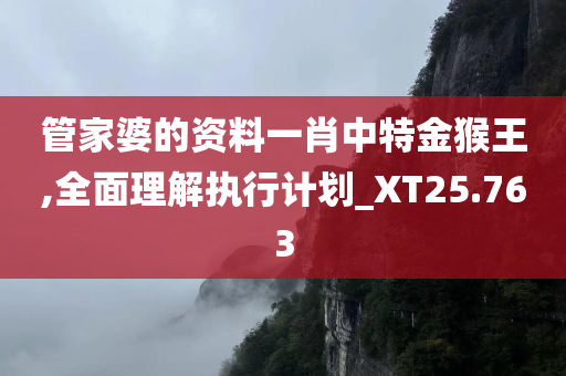 管家婆的资料一肖中特金猴王,全面理解执行计划_XT25.763